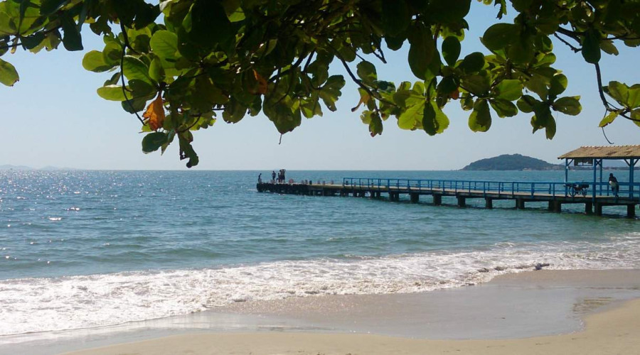 5 reasons for you to visit Canasvieiras in Florianópolis