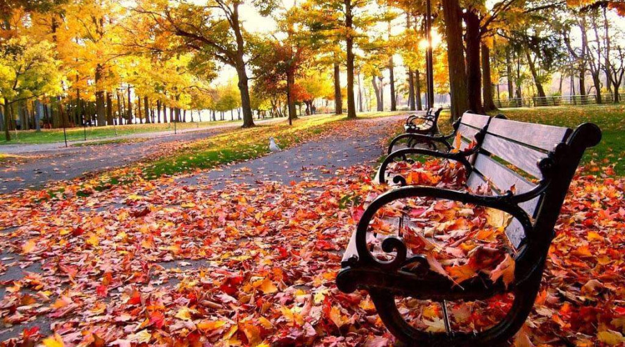 Los mejores destinos y paseos para disfrutar del otoño en Brasil